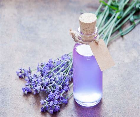 The Magical Healing Properties of Lavender Essential Oil